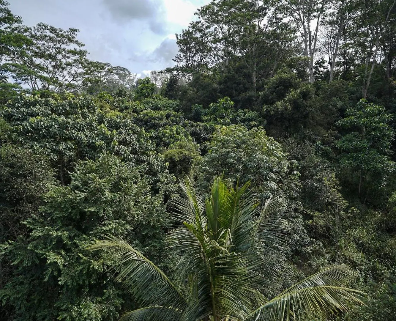 Hanthana House Kandy